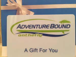 Gift card pic 2