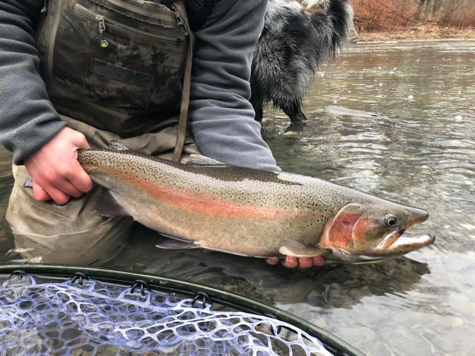 Winter Fly Fishing In Western NY - Adventure Bound on the fly